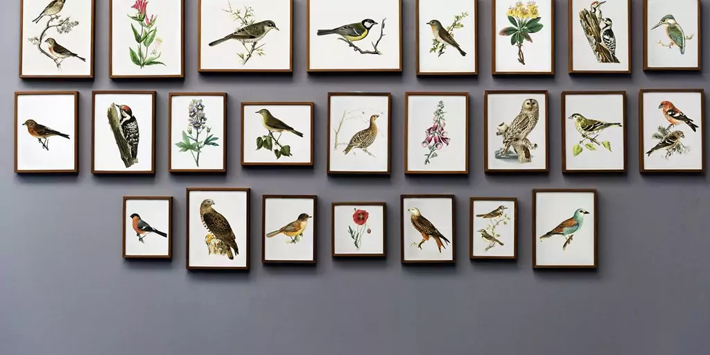 wall signs and pictures of birds frames hanging on wall